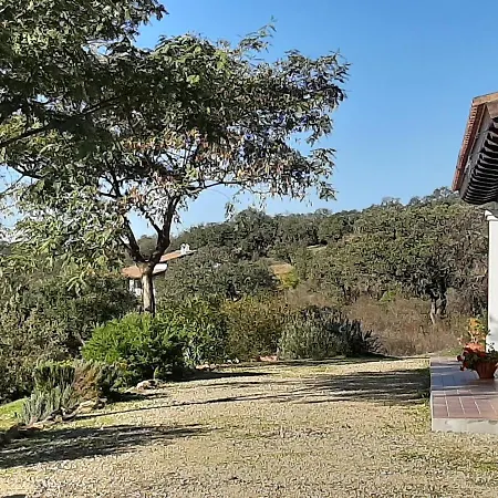 Casa Rural La Aulaga-3
